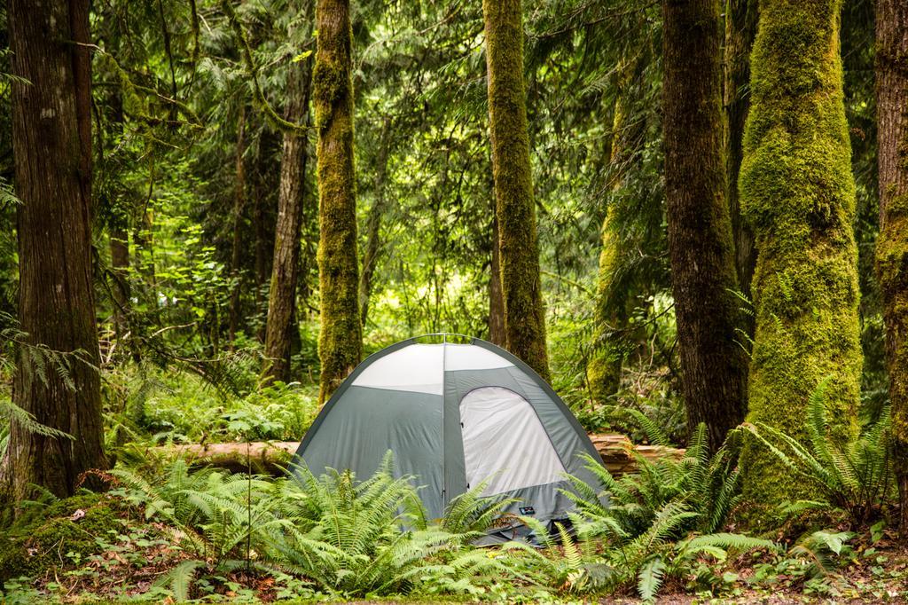 Mount Hood Village Yurt 1 Εξωτερικό φωτογραφία